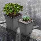 Set of 10 Reusable 10 Gallon Nursery Pots for Planting