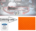 Radiator Cover Plate for Ford Mustang GT (2015–2017) Orange Carbon Fiber