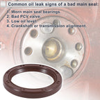 Front Crankshaft Oil Seal for Hyundai Sonata (2005–2015) No. 2142125001