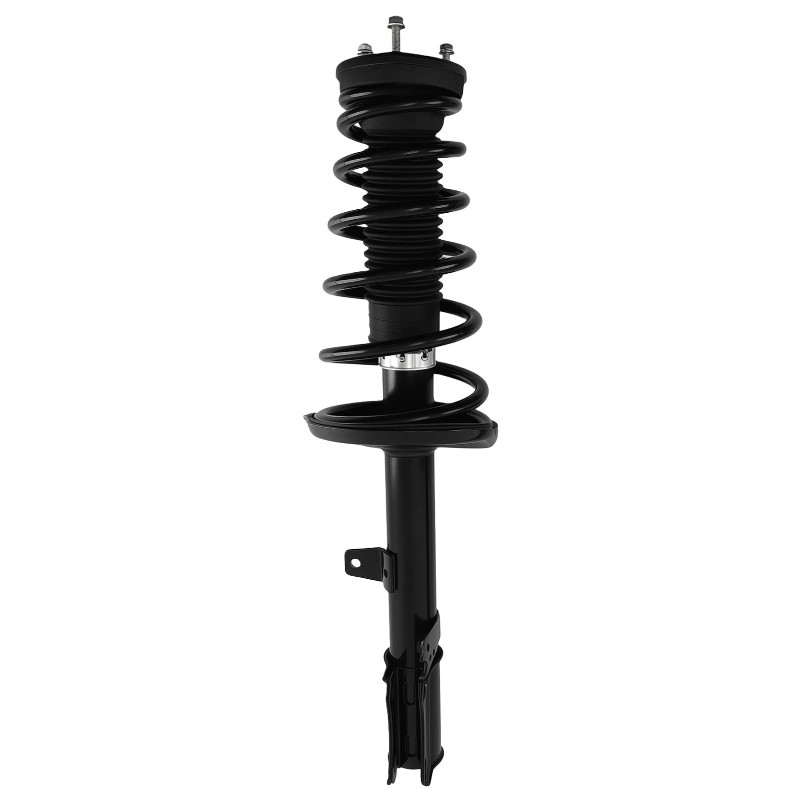 Rear Pair Strut & Coil Spring Kit for Lexus RX300 (1999–2003)