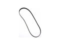 Multi Rib Belt for Mazda MPV (1990–1999) DG615KH
