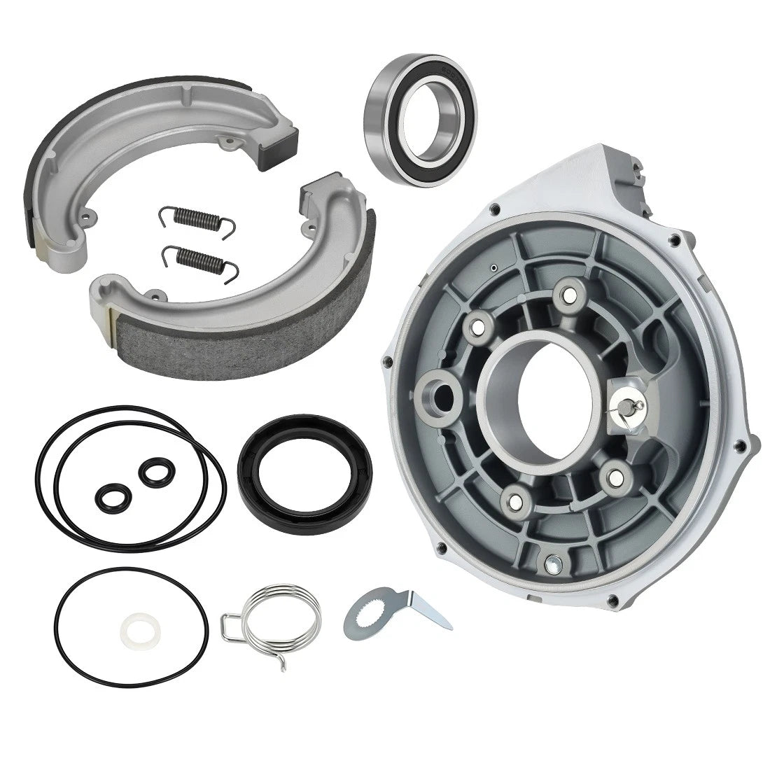 Rear Brake Backing Plate Kit & Shoes for Honda FourTrax 300 TRX300/FW (1988–2000)