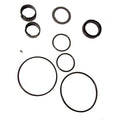 Hydraulic Cylinder Seal Kit for Case D42875 (Fits )