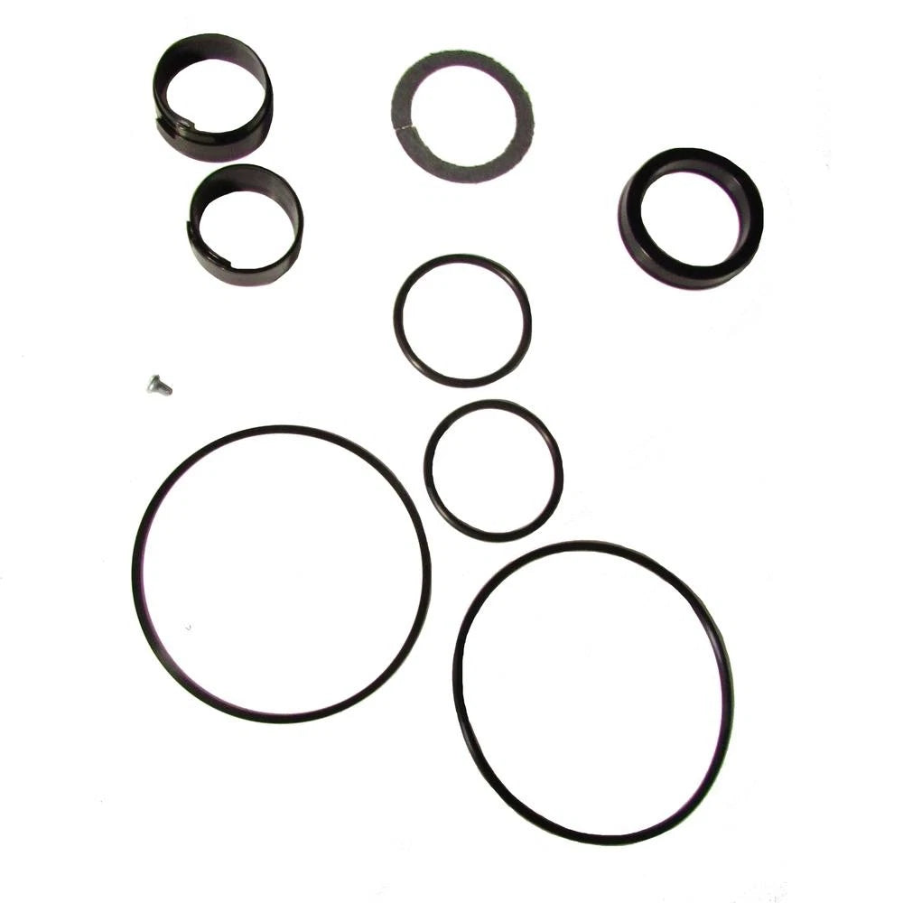 Hydraulic Cylinder Seal Kit for Case D42875 (Fits )