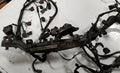 Engine Fuel Wire Harness for Lincoln LS V8 3.9 (2000–2002) 1G-204-BB