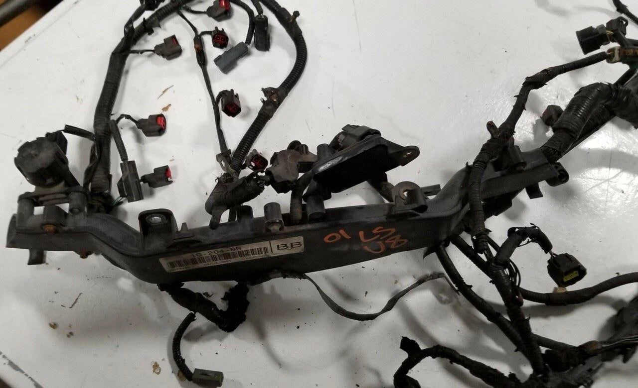 Engine Fuel Wire Harness for Lincoln LS V8 3.9 (2000–2002) 1G-204-BB