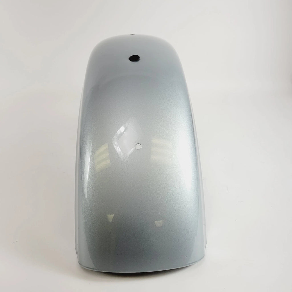 Rear Fender for Harley-Davidson Sportster XL1200NS (2020) Barracuda Silver