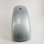 Rear Fender for Harley-Davidson Sportster XL1200NS (2020) Barracuda Silver
