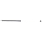 Hood Lift Support for Toyota Sequoia (2001–2022)