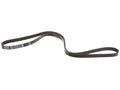 Primary Multi Rib Belt for Mazda Tribute (2001–2004) CT663CC