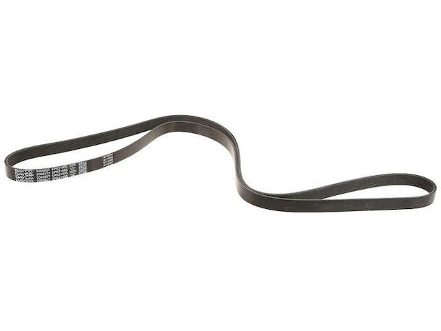 Primary Multi Rib Belt for Mazda Tribute (2001–2004) CT663CC