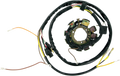 Stator for Rick's Motorsport Electric (21-553)