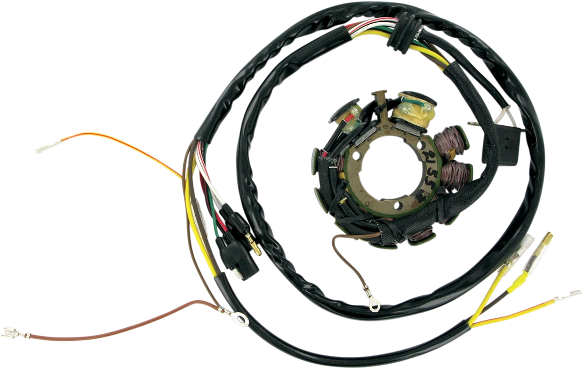 Stator for Rick's Motorsport Electric (21-553)