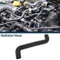 Radiator Hose for Mercedes-Benz Sprinter 3.5-t (2006–2019) No.A9065010182 Rubber