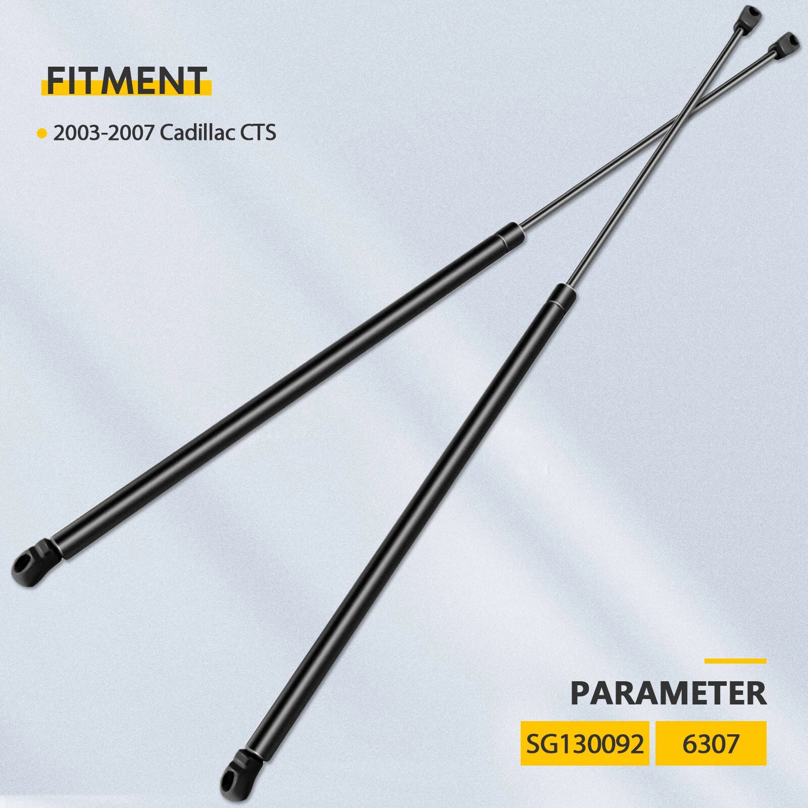 2Pcs Front Hood Lift Supports for Cadillac CTS (2003–2007)