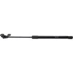 Lift Support for Honda Crosstour (2012–2015) Driver or Passenger Side