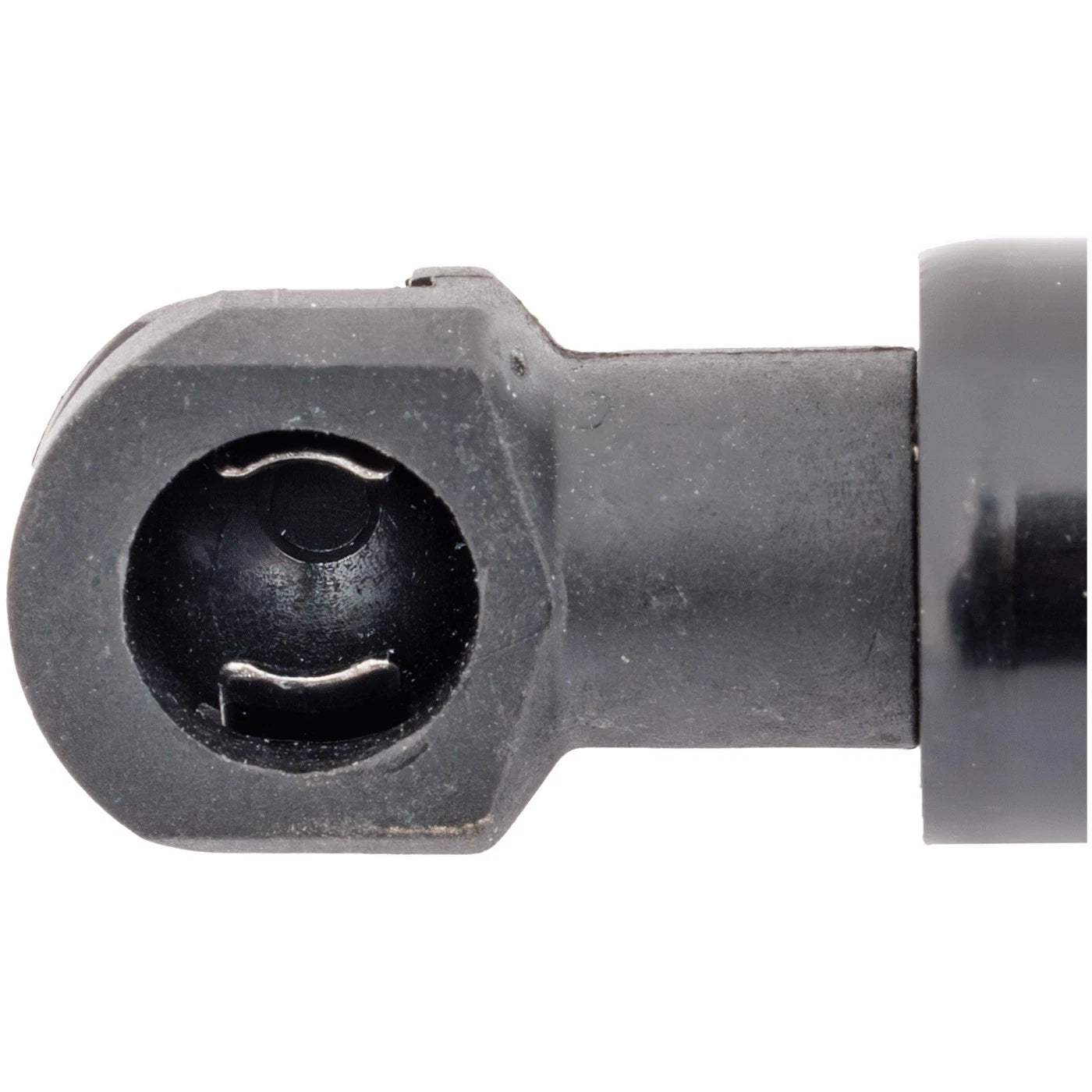 Lift Support for BMW M2 (2016–2021) Driver or Passenger Side