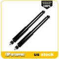 Rear Left & Right Pair Suspension Strut for Kia Sportage (1995–2001)