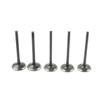 Intake Exhaust Valve Kit for Yamaha WR450F YZ450F YFZ450 YFZ450R/X/V (2003-2023)