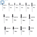 Set of 500 Black Rivets for Automotive Applications (Various Sizes)