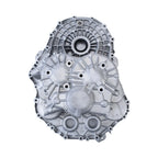 Transmission Case Housing for Ford Focus (2012–2018) BV6Z-7005-A