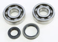 Crankshaft Bearing & Seal Kit for Suzuki RM125 (1989–1998)
