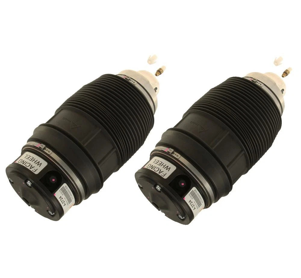 Shock Absorber Set of 2 for Mercedes E320 E500 (w/ Magneride Z95)