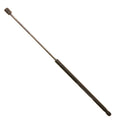 Trunk Lid Lift Support for Jaguar XJS (1992–1996)