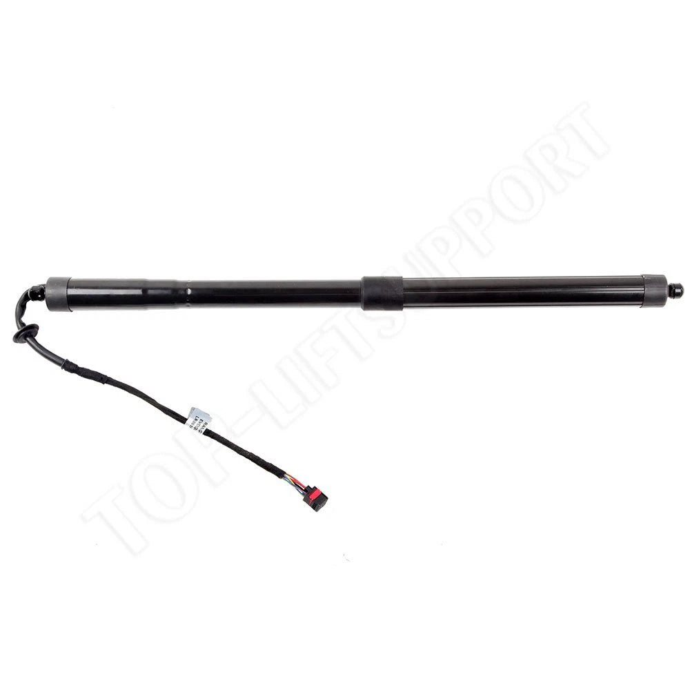 Lift Support for 2012-2017 Range Rover Evoque (Left Rear)