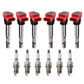 Set of 6 Ignition Coils & Denso Iridium TT Spark Plugs for Audi Q5 S5 (2009–2017)