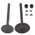 Set of 4 Intake Exhaust Valve Seals for GY6 150cc 152QMI 157QMJ