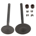 Set of 4 Intake Exhaust Valve Seals for GY6 150cc 152QMI 157QMJ
