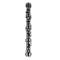 Camshaft .595" Hydraulic Roller for GM Chevrolet LS-Series (E-1841-P)