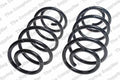 Rear Coil Spring Kit for Ford (4427502)