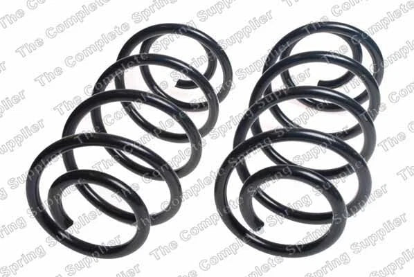 Rear Coil Spring Kit for Ford (4427502)