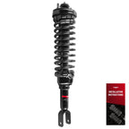 2X Rear Struts w/Coil Spring for Honda Civic (1996–2000) Acura EL (1997–2000)