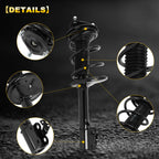 Set of 2 Front Complete Struts with Coil Springs for RAV4 (1996–2000)
