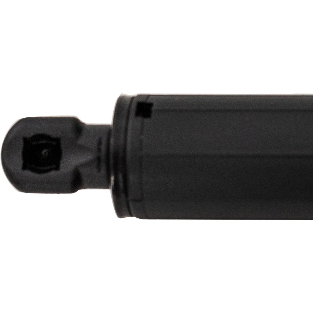Lift Supports for Hatchback (Driver or Passenger Side)