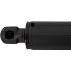 Lift Supports for Hatchback (Driver or Passenger Side)