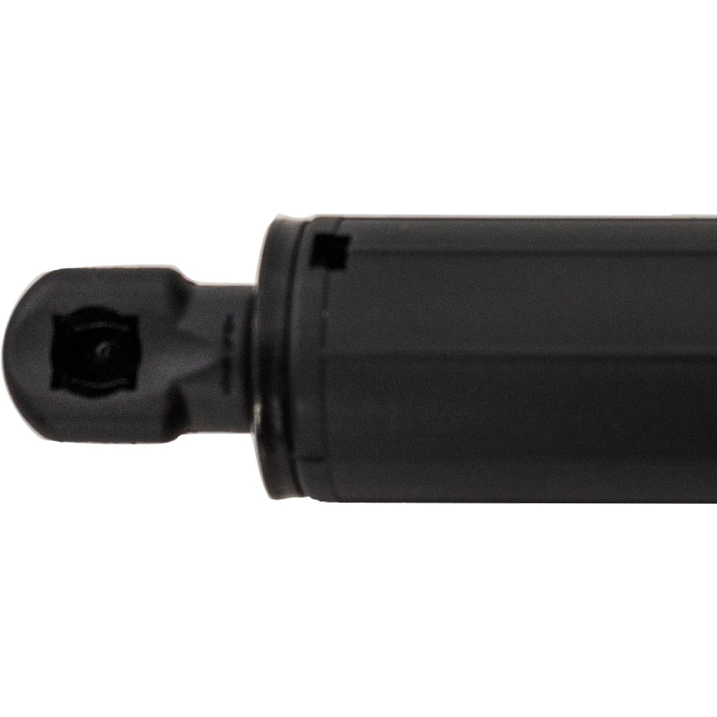 Lift Supports for Hatchback (Driver or Passenger Side)
