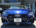 License Plate Bracket for 2017-2018 Audi RS5 Removable