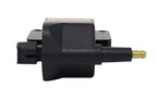 Ignition Coil & 8 Spark Plugs for Dodge Ram 1500 2500 3500 (2002–2023) UF198