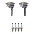 Set of 2 Ignition Coils & 4 NGK Platinum Spark Plugs for Sportage