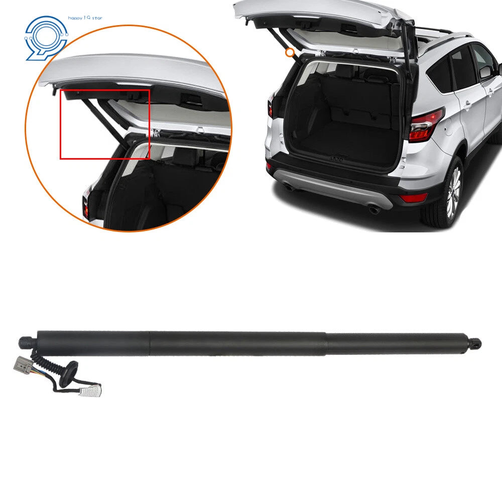 Set of 2 Rear Tailgate Lift Support Struts for Ford Escape (2013–2019)