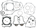 Motor Gasket Kit with Oil Seal for Yamaha (811869mse)