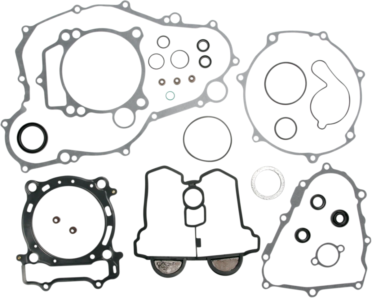 Motor Gasket Kit with Oil Seal for Yamaha (811869mse)