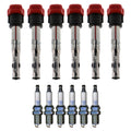 Set of 6 Ignition Coils & NGK Laser Platinum Spark Plugs for Audi A6 Quattro Q7 (2005–2015)