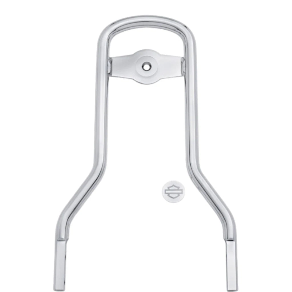 Mini Medallion Sissy Bar Upright Chrome for Harley Davidson XL Dyna Softail (2000–2023)