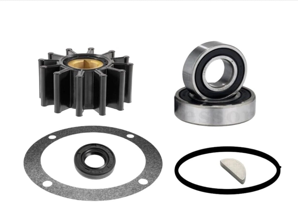 Rebuild Repair Kit for Perkins 4107 4108 Water Pump (NA003335)