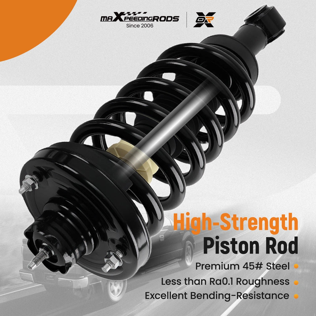 Rear Suspension Strut Springs Assembly for Ford Expedition (2003–2006) 171370